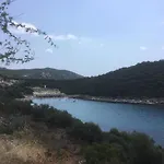Sunny *
